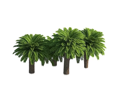 Lush Green Arbor Trees With Dense Foliage And Sturdy Brown Trunks 3d model