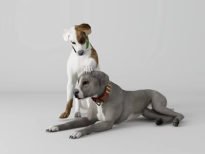Two Reptiles Standing And Lying With Brown White Gray Colors And Collars 3d model