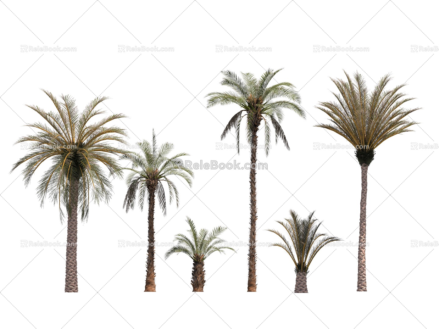 Palm Tree 3d model