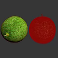 Two Fresh Green Melons With Netlike Texture And Small Stems On Black Reflective Surface