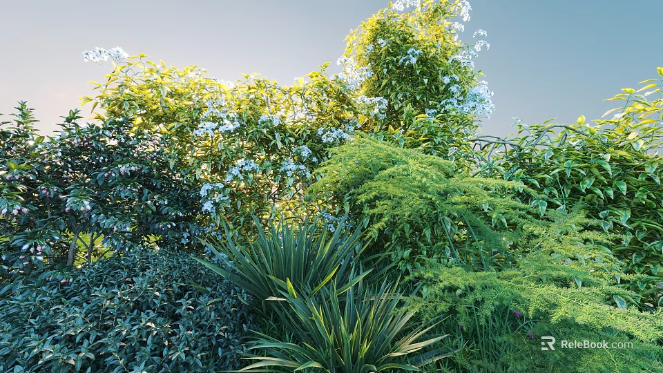 Diverse Lush Shrubs With White Blooms Shining In Sunlight Against Blue Sky 3d model 