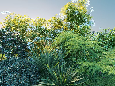 Diverse Lush Shrubs With White Blooms Shining In Sunlight Against Blue Sky 3d model