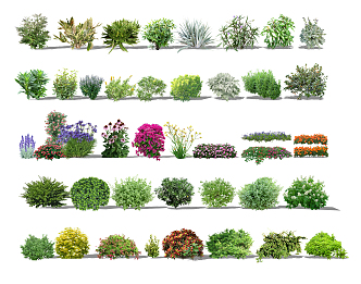 Modern shrubs, flowers and plants 3d model