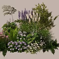 Diverse Garden Plant Combination With Purple Pink White Flowers And Ferns