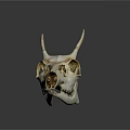 Anatomical Animal Skull With Horns And Detailed Skeletal Features On Dark Surface