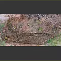 Terrain Model Showing Colorful Surface With Green Vegetation And Brown Soil Features