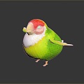 bird bird bird bird game animal cartoon animal animal realistic animal 3d model