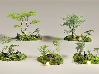 Natural Indoor Landscape With Various Plants Ferns Stones Moss And Lights 3d model
