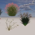 Various Types Of Ornamental Grasses And Flowering Plants With Different Colors Shapes And Heights