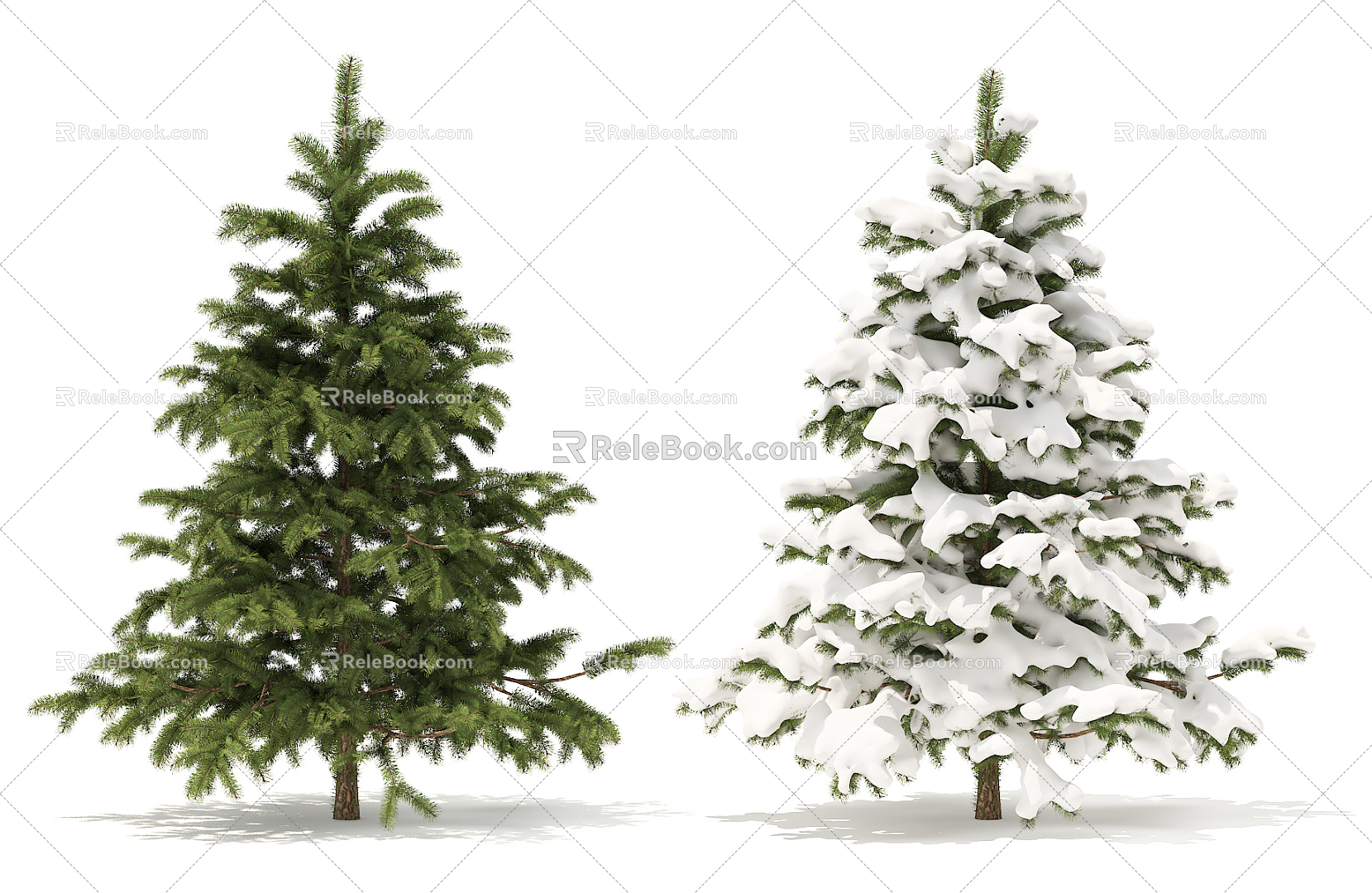 Modern Tree Pine 3d model