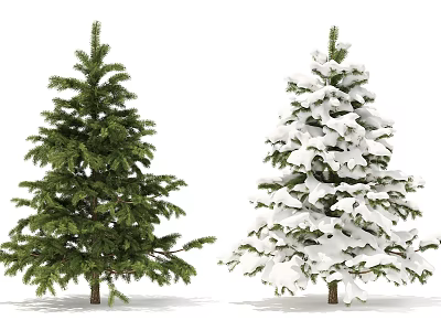 Two Arbor Trees One Green and One Snow Covered Standing in Winter Scene 3d model
