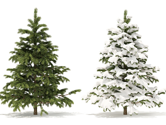 Modern Tree Pine 3d model