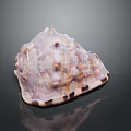 Marine Mollusk With Spiral Brown White Patterned Textured Seashell Surface 3d model