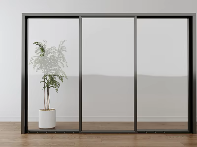 Modern Glass Sliding Door with Black Frame Green Plant White Pot Wooden Floor 3d model