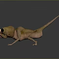 3D Yellow Pink Lizard Creature With Big Eyes Open Mouth Long Tail On Black Reflective Floor