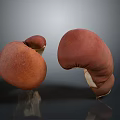 Brown Leather Boxing Gloves As Daily Living Essentials For Training And Fitness