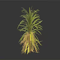 Three Plants With Green Leaves And Yellow Roots On White Background With Reflections