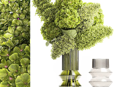 Green Hydrangea Flower Arrangement In Decorative Glass Vases With Unique Striped Design 3d model