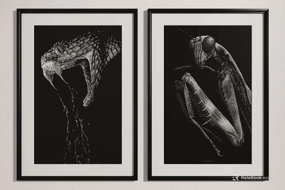 Black And White Framed Artworks With Open Mouthed Snake And Mantis 3d model 