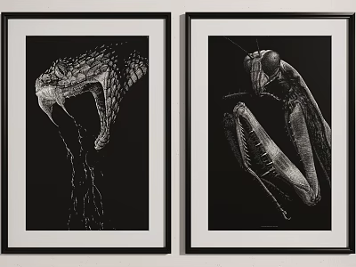 Black And White Framed Artworks With Open Mouthed Snake And Mantis 3d model