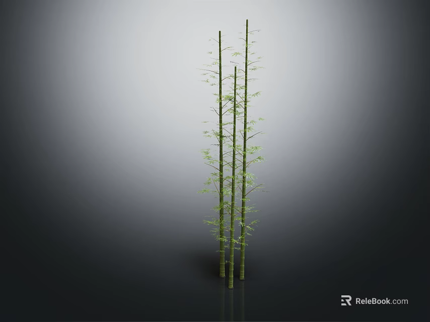 Three Green Bamboo Plants with Slender Stems and Fresh Green Leaves Against Gradient Gray Background 3d model 