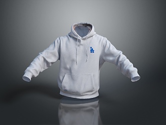 Modern Sweater Casual Wear Hoodie Spring and Autumn Clothing 3d model