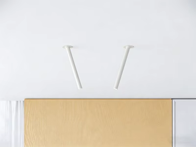 Modern White Downlights And Spotlights Mounted On Wall With Wooden Panel 3d model