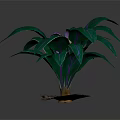 Potted Indoor Plant With Purple Flower And Green Leaves Featuring Purple Stripes