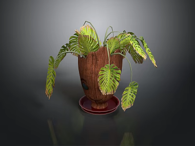 Indoor Wooden Planter With Green Monstera Leaves And Decorative Tray 3d model