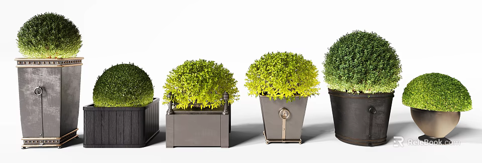 Various Potted Bonsai Plants With Green Foliage And Decorative Black Gray Metal Pots 3d model 