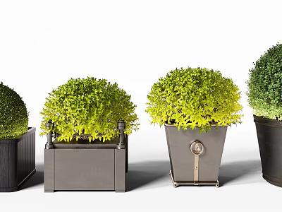 Various Potted Bonsai Plants With Green Foliage And Decorative Black Gray Metal Pots 3d model