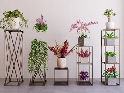 Indoor Bonsai and Potted Plants Display With Metal Plant Stands and Various Greenery 3d model