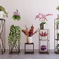 Indoor Bonsai and Potted Plants Display With Metal Plant Stands and Various Greenery