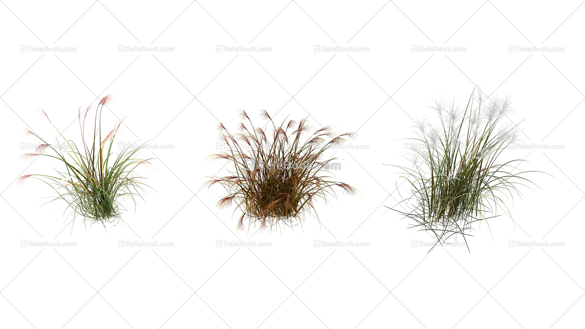 Modern grass grass flowers model