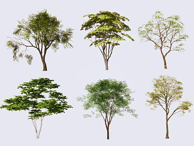 Arbor Tree Varieties for Landscape Design with Different Green Leaves and Shapes 3d model