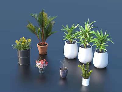 Diverse Potted Plants Collection With Different Sizes Colorful Pots Green And Flowering Varieties 3d model