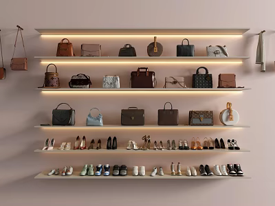 Elegant Various Style Handbags in Different Colors on Wall Shelves with Shoes 3d model