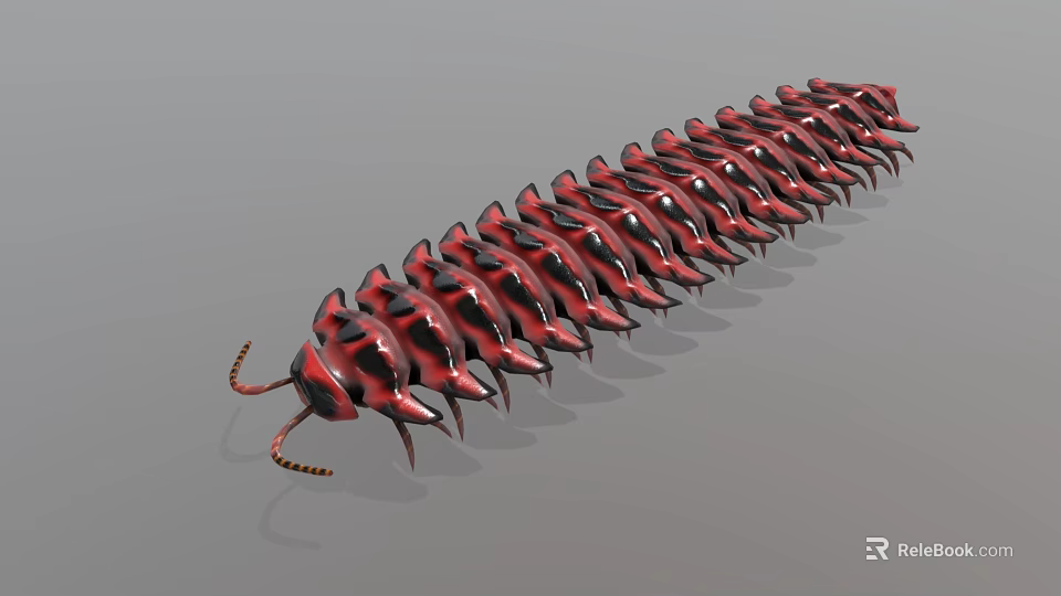 Red And Black Segmented Millipede With Shiny Exoskeleton And Many Legs 3d model 