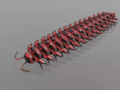 Red And Black Segmented Millipede With Shiny Exoskeleton And Many Legs 3d model