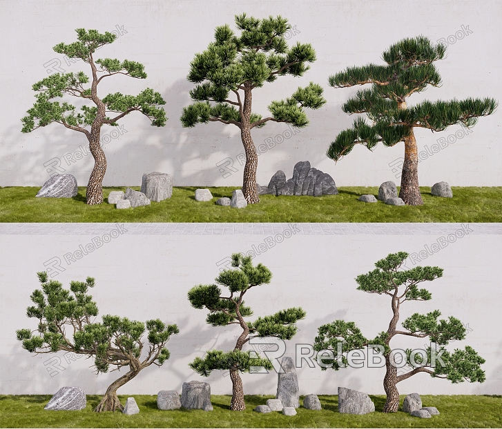 Pohan pine landscape plant tree ornamental tree pine tree modeling tree stone bonsai bonsai model