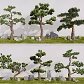 Ornamental Arbor Trees With Stones On Green Grass Against White Wall