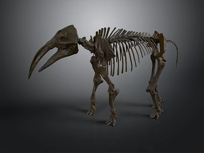 Prehistoric Mammoth Skeleton With Long Tusks And Complete Bone Structure 3d model