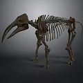 Prehistoric Mammoth Skeleton With Long Tusks And Complete Bone Structure