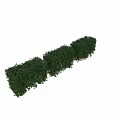 Neatly Trimmed Green Garden Hedges Arranged as Square Blocks and Lush Bushes for Landscaping Decor