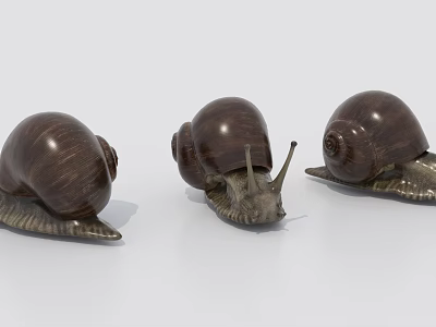Three Brown Reptile Snails With Wooden Shells Crawling On White Background 3d model