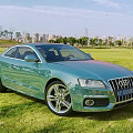 Green Audi Coupe Parked On Lush Grass With City Skyline In Background
