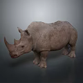 Realistic 3D Rhino Model With Rough Skin Texture Standing On Gray Background