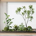 Diverse Indoor Plant Combination With Large Leafy Plants Small Shrubs And Window Blinds Decor