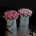 Two Bonsai Potted Plants With Pink Roses In White Bucket Shaped Pots And Lush Blooms