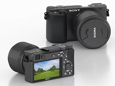 Sony Digital Cameras With Sigma Lens And Screen Displaying Grassy Field Scene 3d model